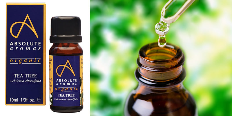The Power of Essential Oils